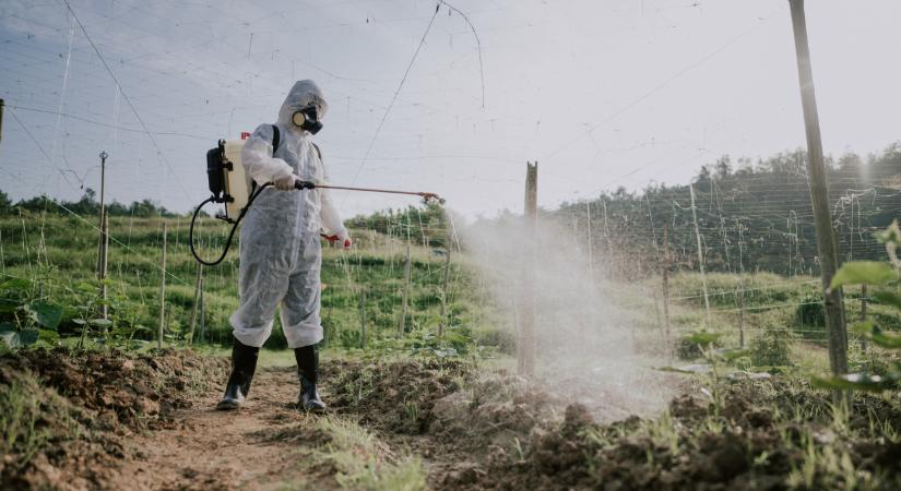 Durva, mik kerülnek az élelmiszereinkbe: ez óriási kockázat az egészségre