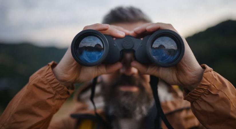 Eltűnt a kiskutya: te megtalálod a képen?