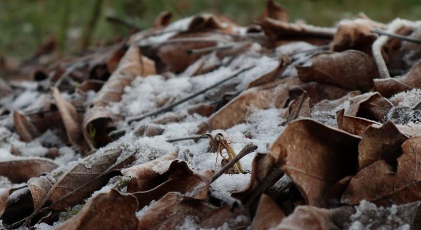 Nem enged a tél, ködös, csípős vasárnap elé nézünk
