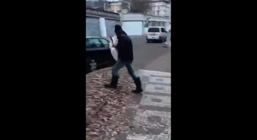 Videón az elkövető: a kocsijába tömve hajtott el a hattyúval