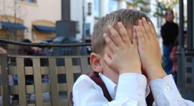 Surján László: Kis magyar blöffológia