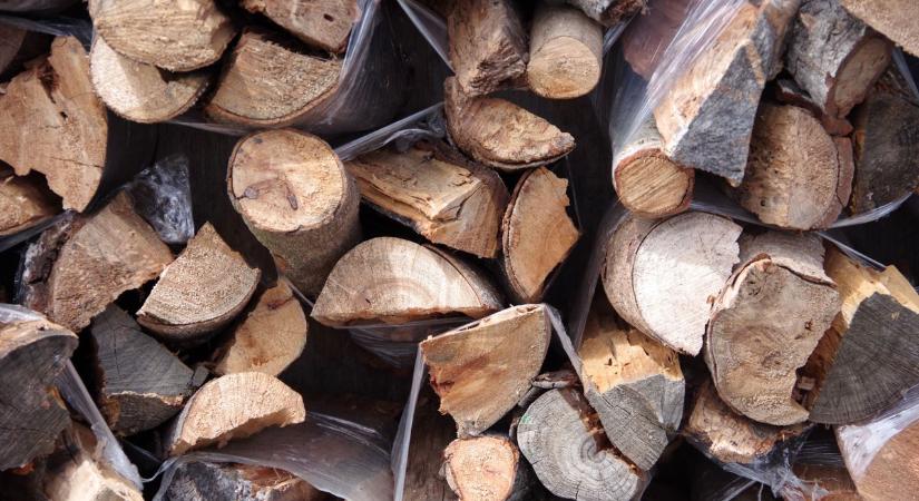 Folyamatos a tűzifa kiszállítása Székesfehérváron – továbbra is várják a rászorulók jelentkezését