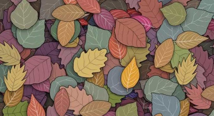 Sasszemed van, ha 6 másodperc alatt kiszúrod a békát a levelek között