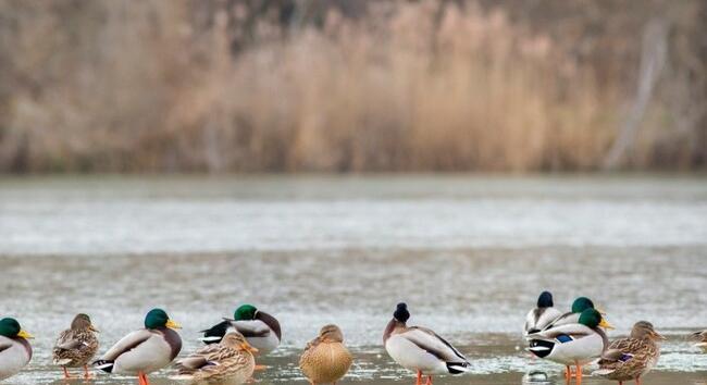 Az enyhülésre még várni kell - Itt a friss előrejelzés február 1-re
