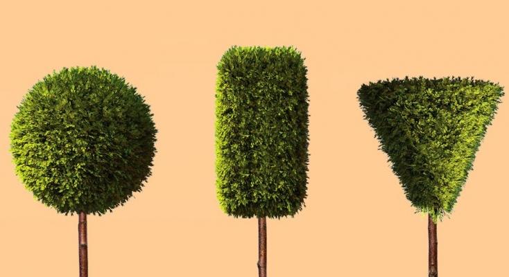 Ezt árulja el a pasiról az intim szőrzete