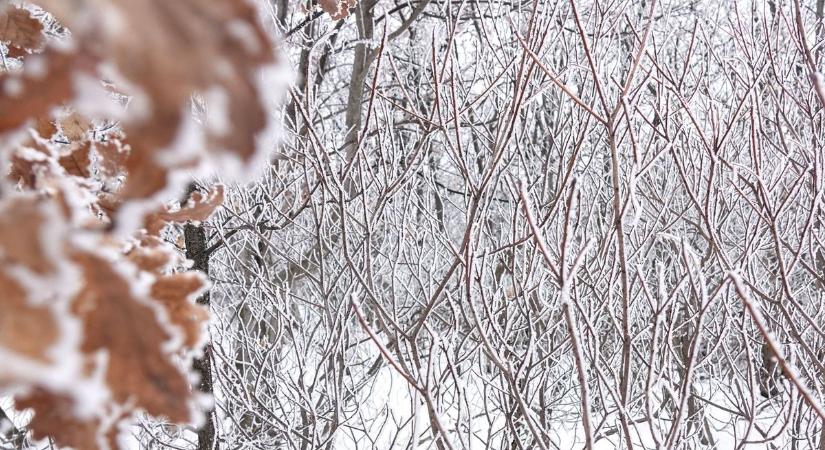 Télies fordulat: havazás válthatja az esőt vasárnap