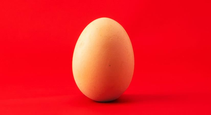 Sosem találnánk ki, honnan érkezik a legtöbb tojás Magyarországra