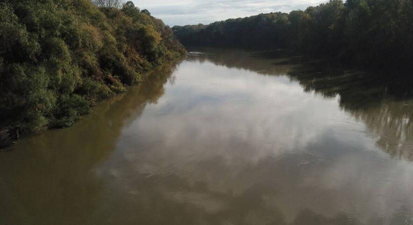 Február 1. a Tisza élővilágának emléknapja