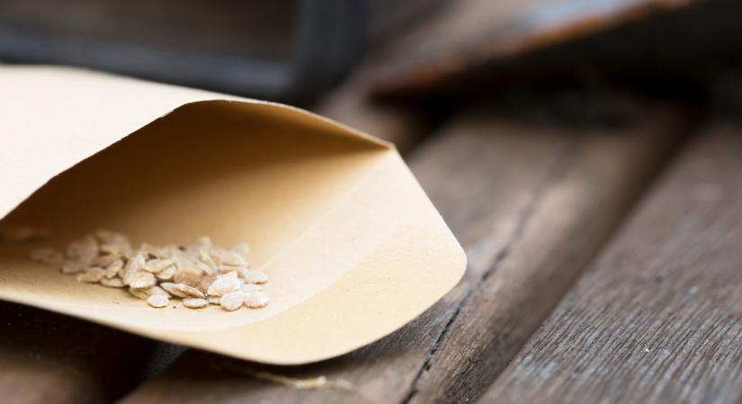 Végzetes hiba a kertben: nem mindegy, milyen vetőmagot veszel