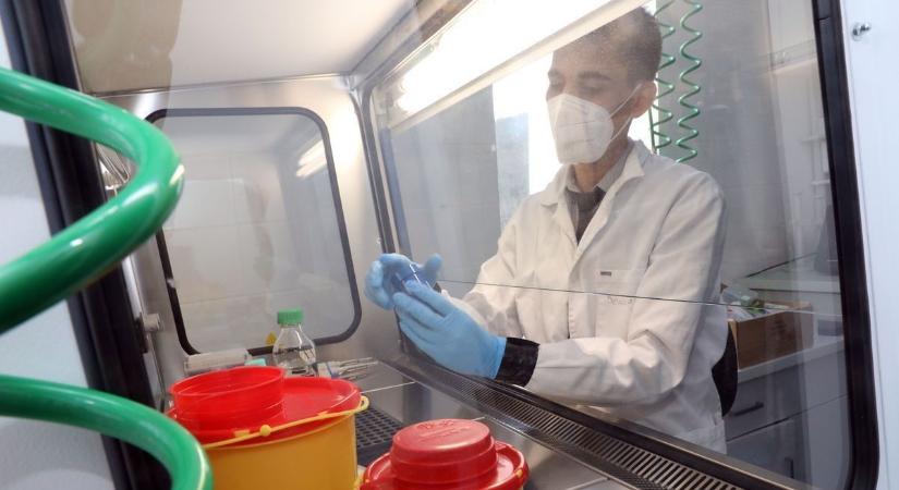 Pusztító járvány a küszöbön: halálos vírus lendült támadásba – versenyt futnak az idővel az orvosok, hogy megfékezzék