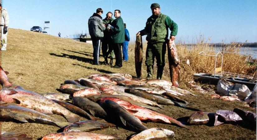 Csernobil óta a legnagyobb természeti katasztrófa: a dráma napján elfeketült a Tisza – galériával