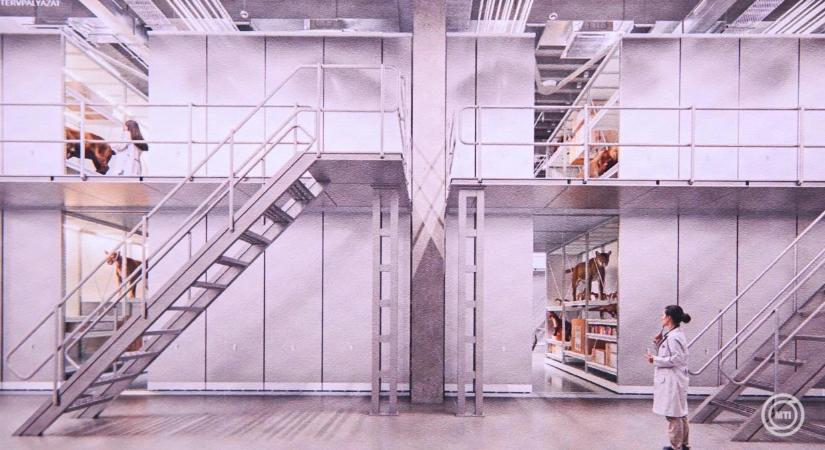 Kihirdették a Magyar Természettudományi Múzeum gyűjteményi központjára kiírt építészeti tervpályázat nyerteseit