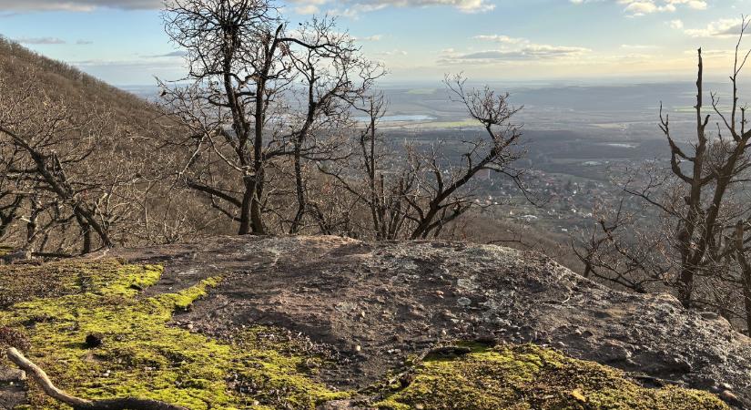 Zuzmókkal a klímaszorongás ellen