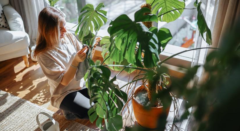 Csillagjegyed szerint ezek a tavaszi rituálék illenek hozzád a leginkább