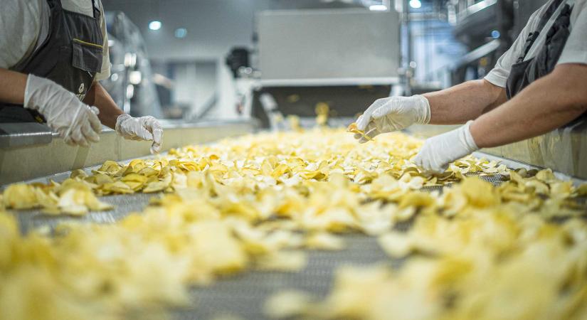 Öt éve a székely ízek szolgálatában – Jubileumát ünnepli a Csíki Chips gyár
