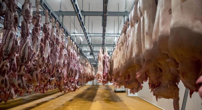 Olcsóbb lesz a disznóhús a boltokban is?