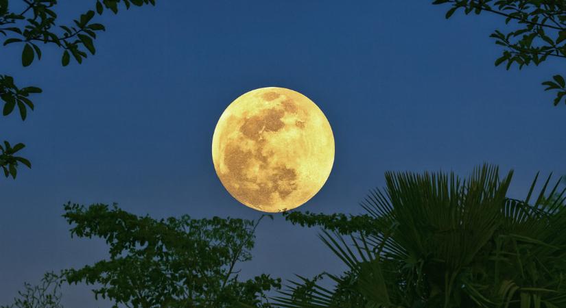 Az 5 legszerencsésebb jegy a februári telihold alatt