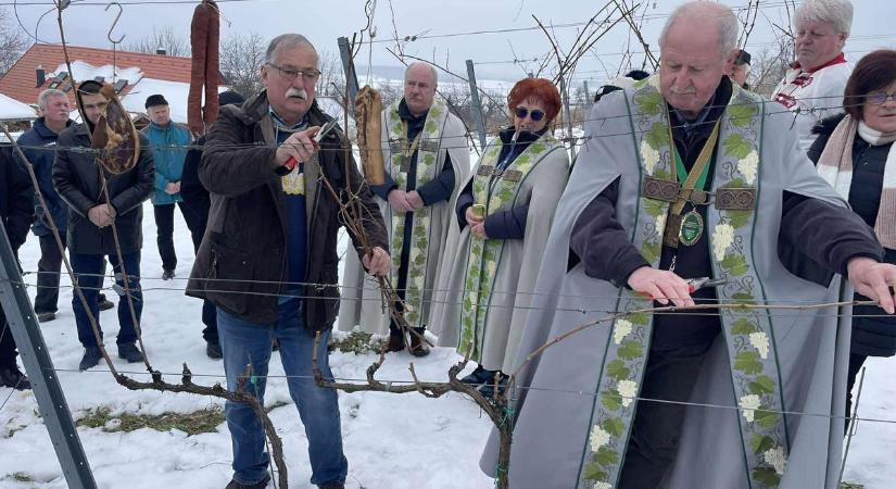 Pusztul a szőlő, sok az elhagyott terület, de a hagyományt még őrzi ez a zalai egyesület