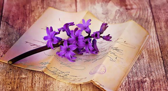 Okos és bátor magyar nők, akiknek érdemes megjegyezni a nevét