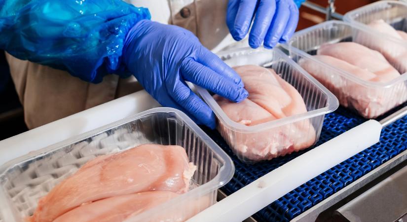 Terjeszkedik az ukrán baromfióriás, és ezt az EU-ban is meg fogjuk érezni