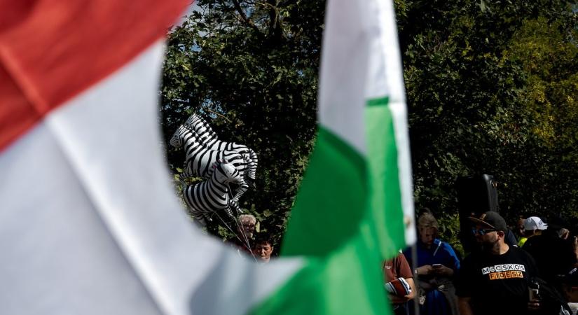 Hadházy: Nem keresik a rendőrök a Hatvanpusztáról eltűnt zebrákat