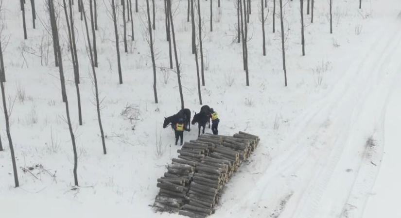 Széles összefogással léptek fel egy visszatérő probléma ellen a rendőrök – videóval