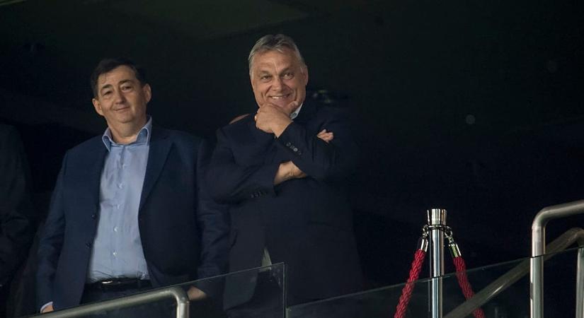 A rendőrség elutasította a nyomozást a hatvanpusztai eltűnt zebrák ügyében