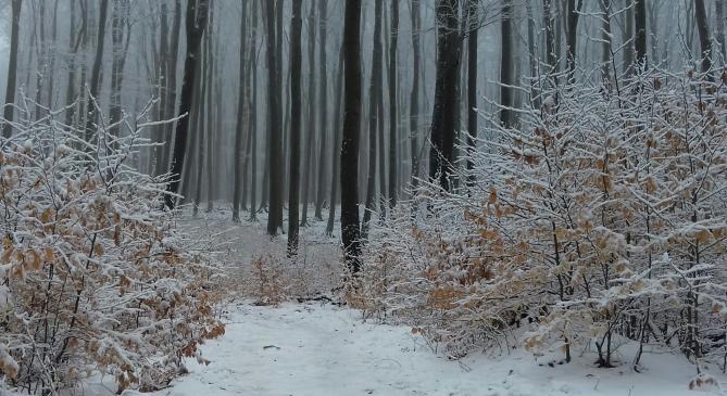 Csak szivárog a hideg