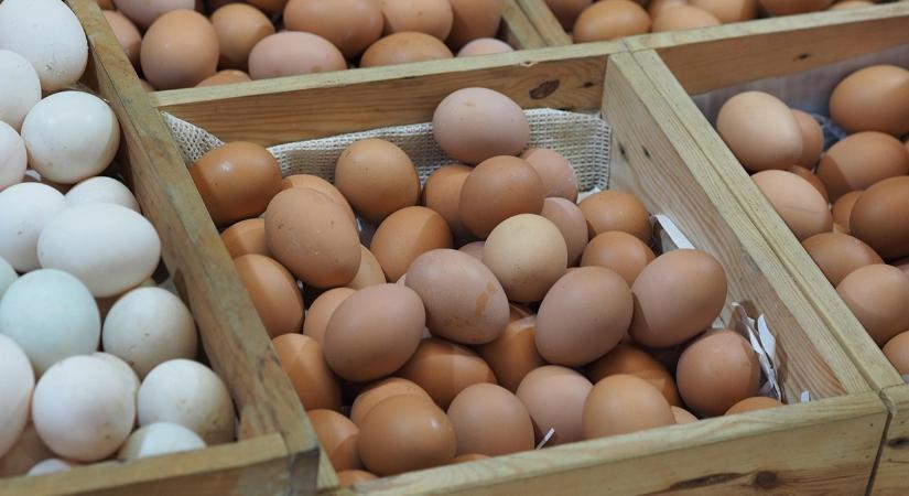 Kitört a káosz az európai tojáspiacon