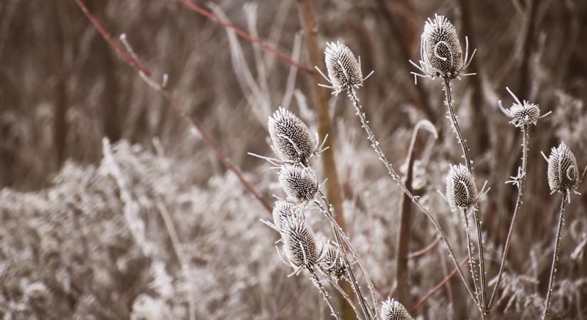 Hószállingózással és hideggel támad a vasárnap Zalában