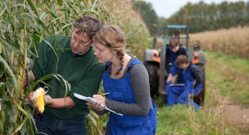 Itt a friss rangsor: a világ száz legjobb agráregyeteme közé került a MATE