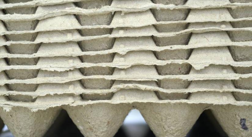 Ne dobd ki tojásosdobozt! Csodás dekorációt készíthetsz fillérekből