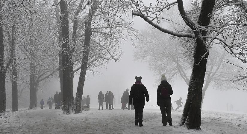Ezerforintos parkolási díj bevezetését tervezi az egyik fővárosi kerület