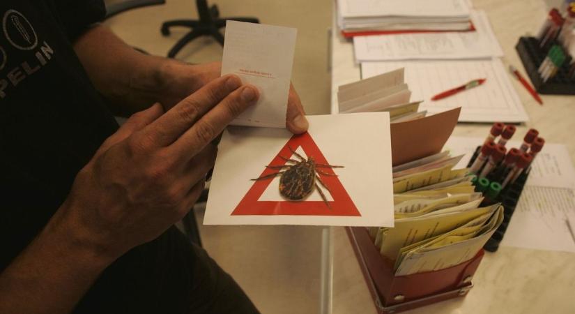 A hetekig elhúzódó fagy sem ártott a kullancsoknak, áttelelhettek a kártevők