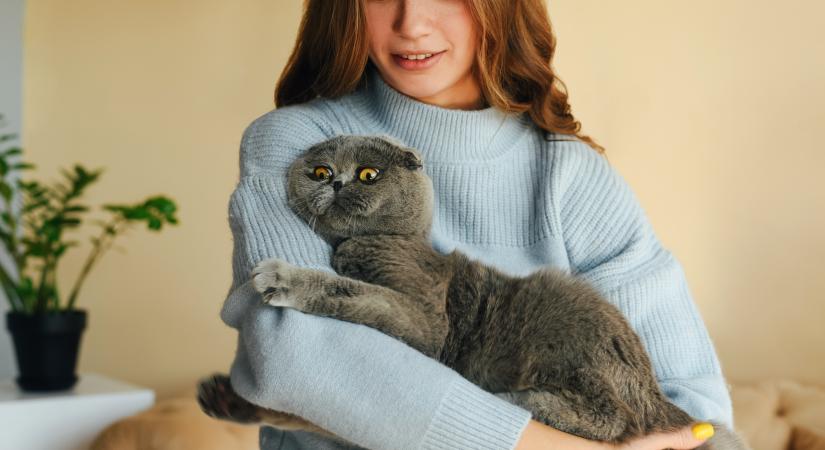 Normális, ha egy macska sosem dorombol?