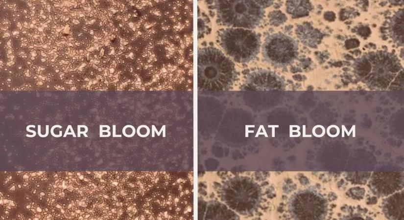 Rengeteg pénzt dobunk ki az ablakon emiatt a tévhit miatt