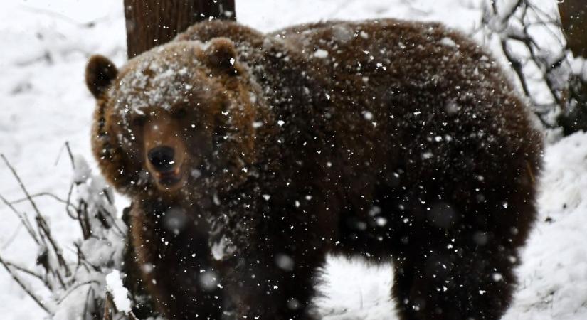 Vajon mit "mond" holnap Forgó Dorka és Füles Borka az időjárásról?