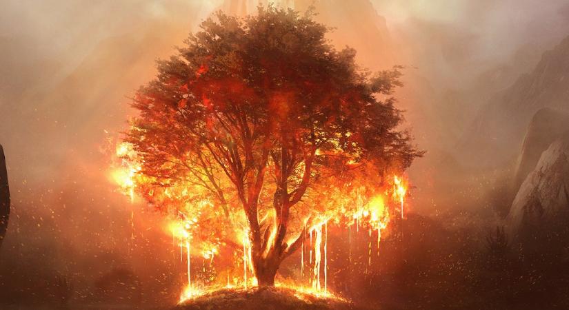 14 millió dollárt loptak és kisemmizték a fejlesztőket az Ashes of Creation új fejesei?