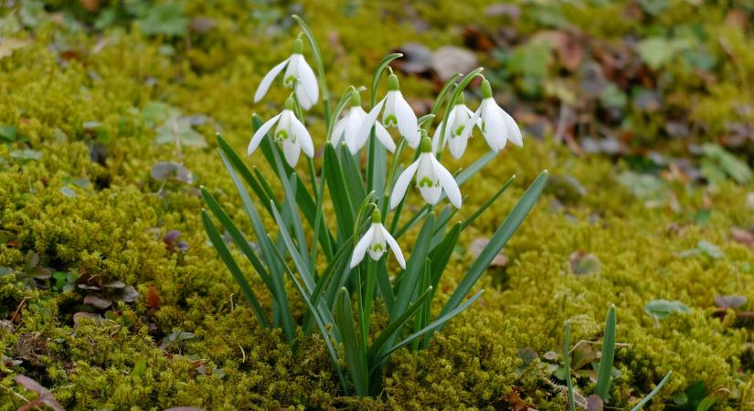 Szegedi Erika: Hirtelen robban be a kánikula