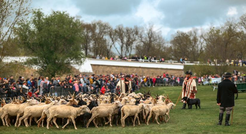 Hol és mikor lesz hídivásár Hortobágy területén? A hortobágyi hídi vásár 2026-ban is vár: itt van minden információ, amit tudni érdemes