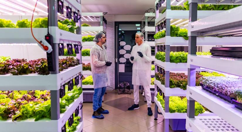 Ilyet még a Breaking Bad-ben sem láttál - így fest belülről a tatai Zölden Szép!