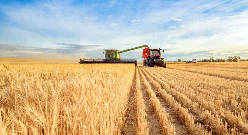 Itt komoly fordulat történt a termelésben: ezek a kultúrák a nagy nyertesek