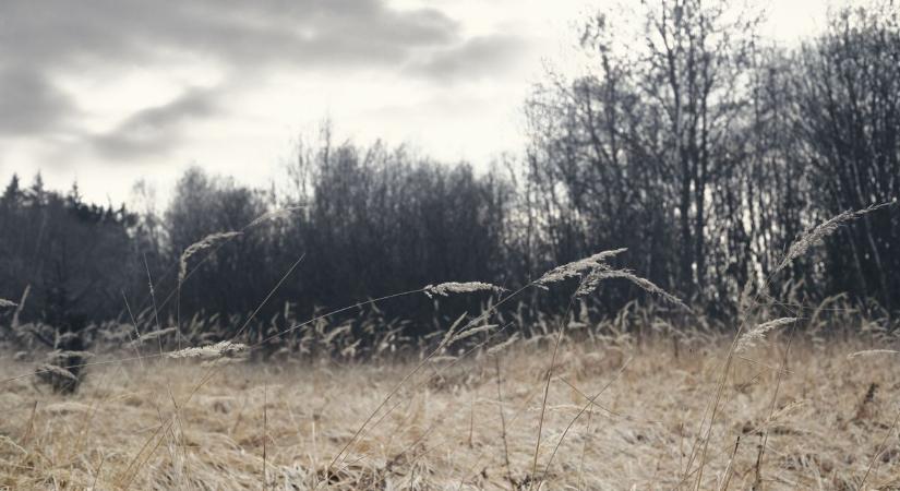 Eldőlt: ilyen lesz holnap az idő Kecskeméten