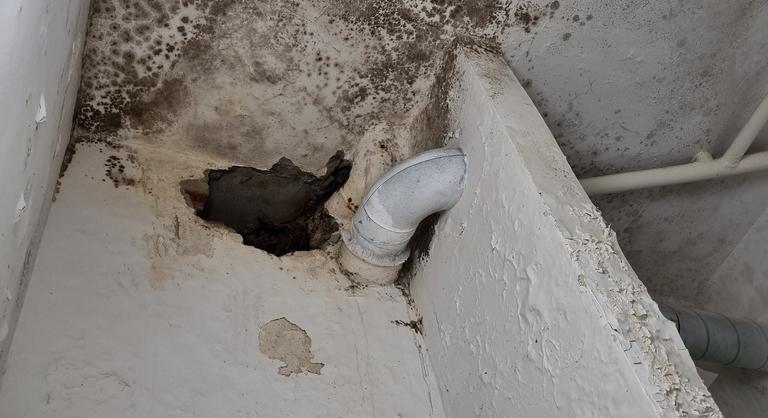 „A magyar pszichiátriai ellátás a szemünk alatt zuhan a mélybe” – közegészségügyi krízisről beszél az orvosi kamara