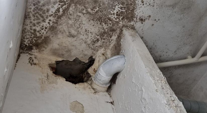 MOK: „A magyar pszichiátriai ellátás a szemünk előtt zuhan a mélybe”