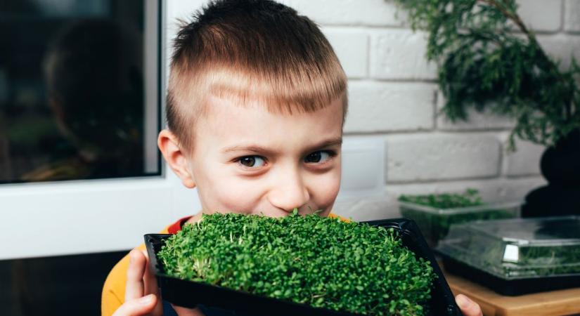 C-vitamin télen: tényleg kell a kapszula?