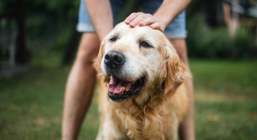 Érezd jól magad! 7 természetes módszer, hogy felturbózd a testedben az oxitocin hormon szintjét