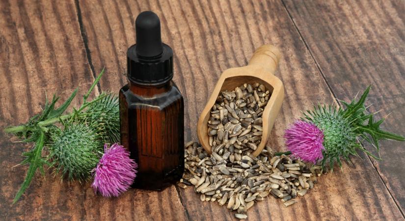 A legjobb olaj a máj számára – Pajzsként működik a méreganyagok ellen