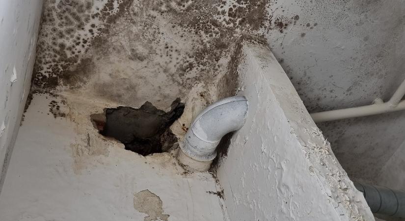 Hatóránként öngyilkos lesz egy honfitársunk – kétségbeesett közleményt adott ki a MOK