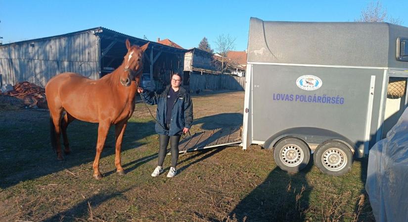 Patadobogással érkezett az erősítés Ásotthalomra: új szolgálati ló segíti a lovas polgárőrök munkáját